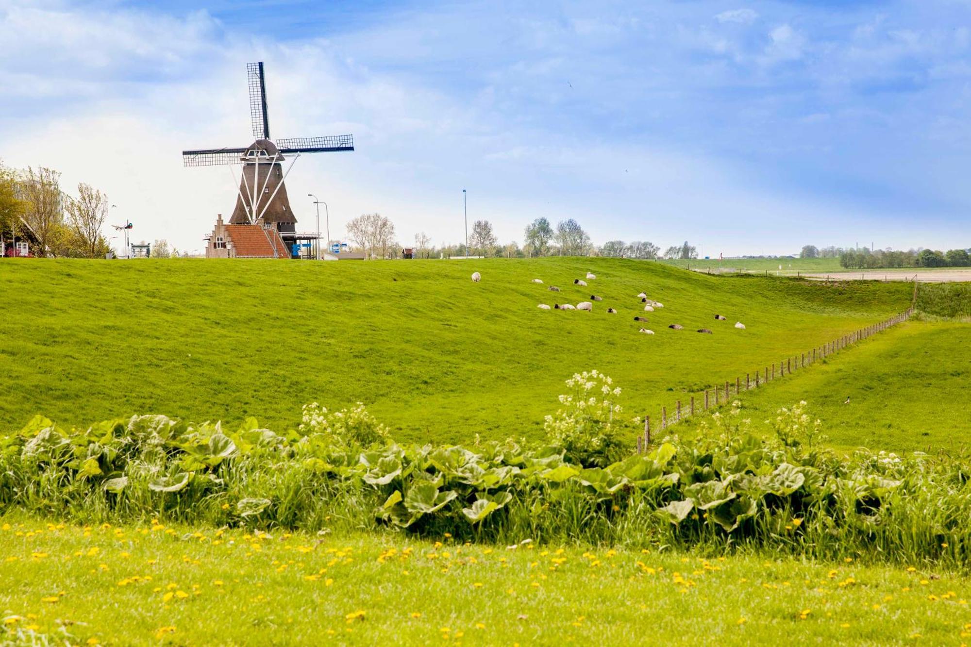 Vakantiehuisje Schelp 5 Personen - Zeezand Recreatie Stolpen Экстерьер фото